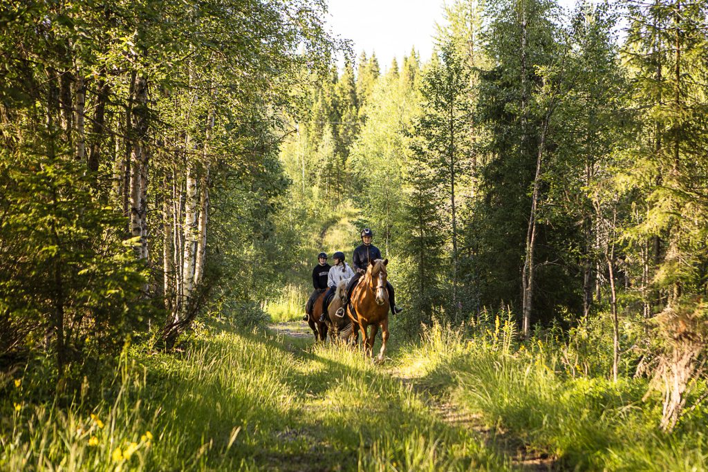 Rento maastoretki suomenhevosilla (1h)