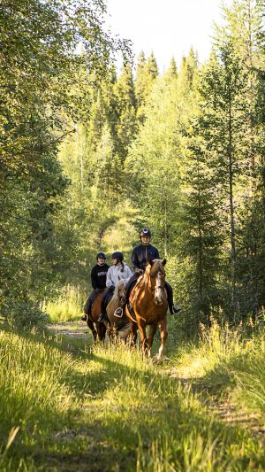 Rento maastoretki suomenhevosilla (1h)