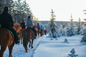 Maastoratsastusta Ruska Laukan tallilla Ruka-Kuusamossa
