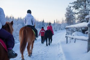 Maastoratsastusta Ruska Laukan tallilla Ruka-Kuusamossa