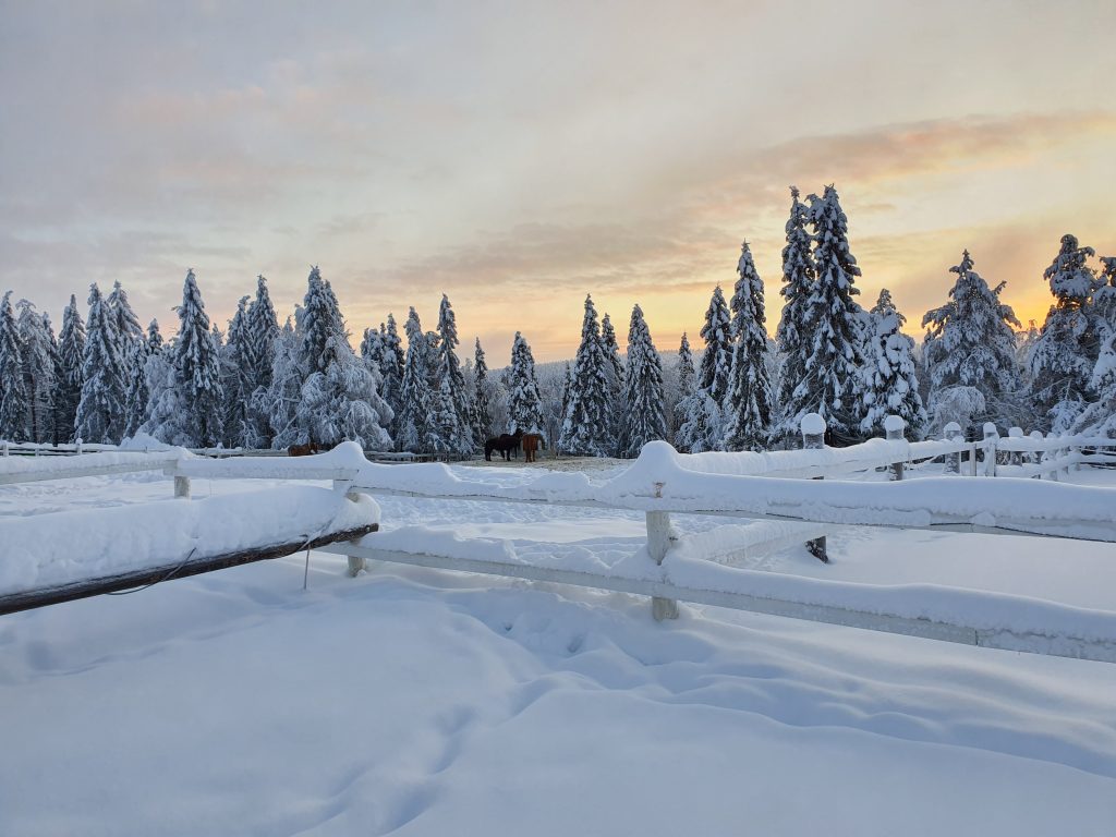 Ruska Laukka tallin pihapiiristä kesä- ja talvikuvia Ruka-Kuusamossa
