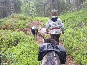 Sosiaalipedagoginen koira-avusteinen toiminta Ruska Laukan tallilla Ruka-Kuusamossa