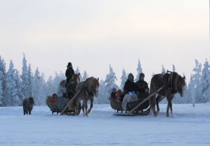 Ruska Laukan tallilla rekiajelua suomenhevosilla Ruka-Kuusamossa