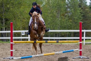 Ruska Laukan tallilla valmennus-, yksityis-, pari-, pienryhmä ja mini tunnit Ruka Kuusamossa