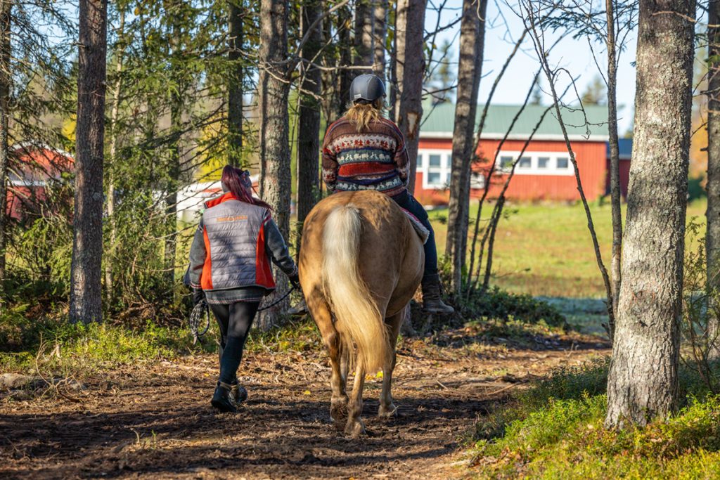 Perheen yhteinen hevosretki Ronivaarassa (1h)