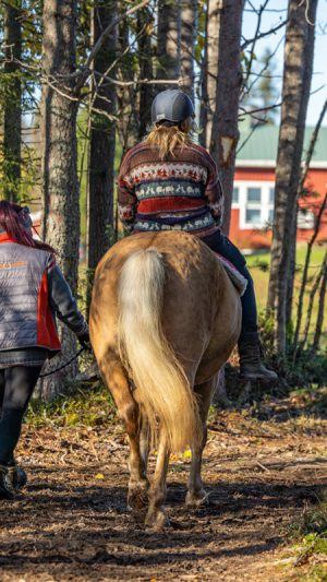 Perheen yhteinen hevosretki Ronivaarassa (1h)