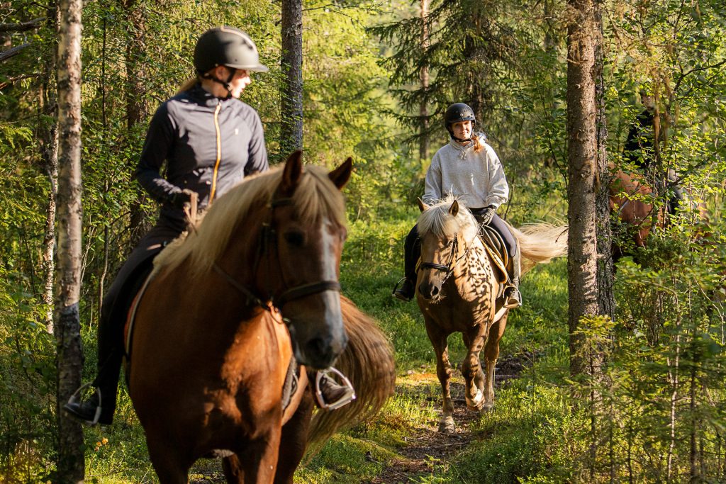 Finnhorse Program in Kuusamo Landscapes