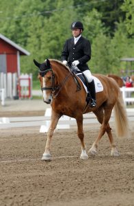 Ruska Laukan tallilla valmennus-, yksityis-, pari-, pienryhmä ja mini tunnit Ruka Kuusamossa