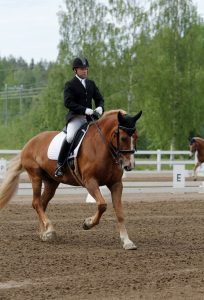 Ruska Laukan tallilla valmennus-, yksityis-, pari-, pienryhmä ja mini tunnit Ruka Kuusamossa