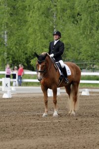 Ruska Laukan tallilla valmennus-, yksityis-, pari-, pienryhmä ja mini tunnit Ruka Kuusamossa