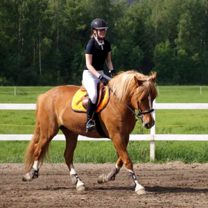 Ruska Laukan tallilla valmennus-, yksityis-, pari-, pienryhmä ja mini tunnit Ruka Kuusamossa