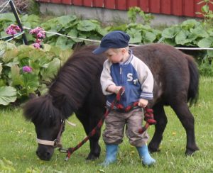 Ruska Laukan tallilla ratsastus- ja teemapäiviä harrastaja perheiden kanssa Ruka Kuusamossa