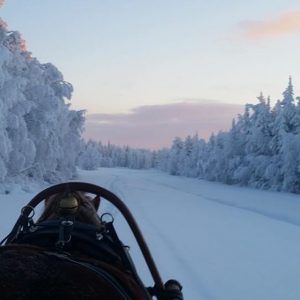 Ruska Laukan tallilla rekiajelua suomenhevosilla Ruka-Kuusamossa
