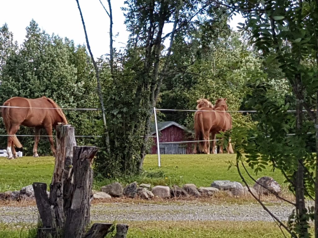 Ruska Laukka tallin pihapiiristä kesä- ja talvikuvia Ruka-Kuusamossa