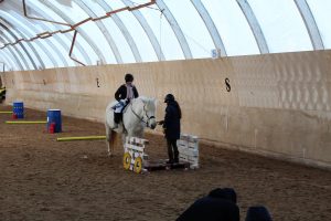 Sosiaalipedagoginen hevostoiminta Ruska Laukan tallilla Ruka-Kuusamossa