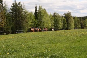 Maastoratsastusta Ruska Laukan tallilla Ruka-Kuusamossa