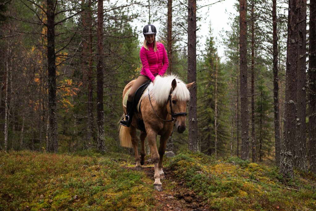 Maastovaellusohjelma suomenhevosilla  (1,5h)