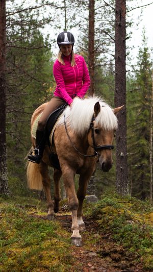 Maastovaellusohjelma suomenhevosilla  (1,5h)