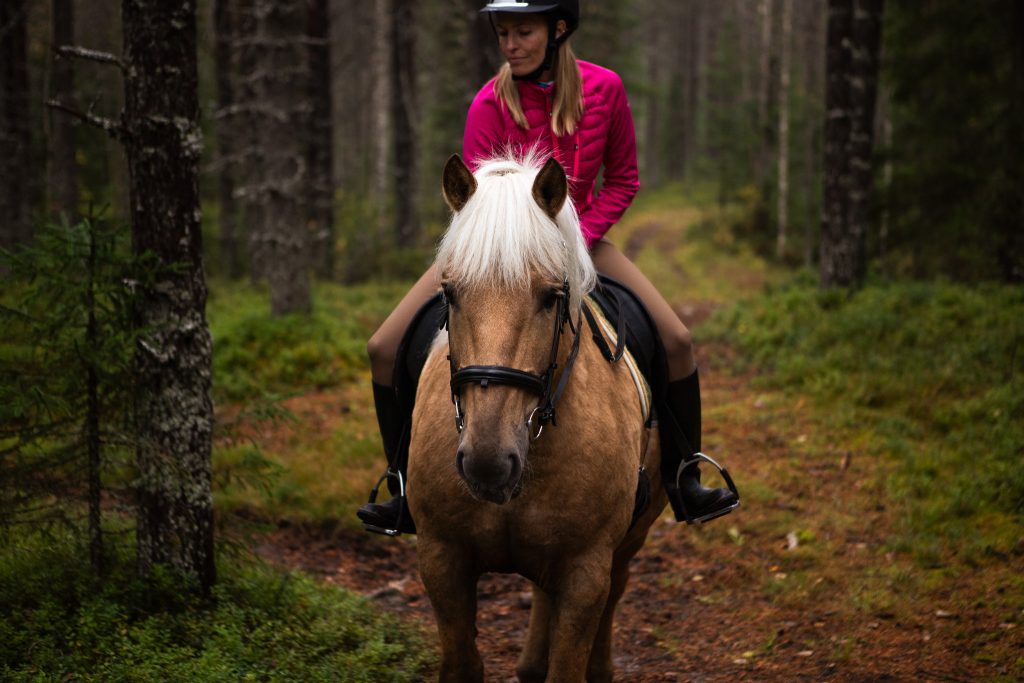 Rento maastovaellus (1h)