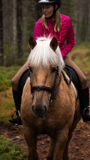 Rento maastovaellus (1h)