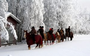 Maastoratsastusta Ruska Laukan tallilla Ruka-Kuusamossa