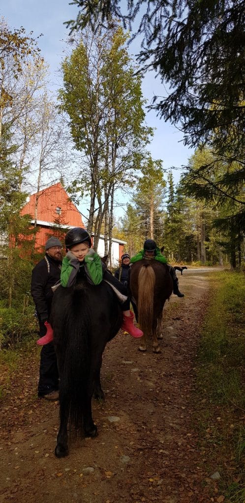 Sosiaalipedagoginen hevostoiminta suomenhevosilla Ruska Laukan tallilla Ruka-Kuusamossa