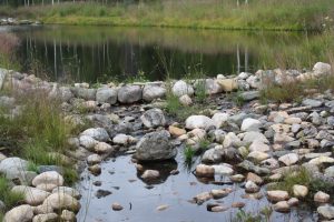 Sosiaalipedagoginen seikkailua metsässä ja veden äärellä Ruska Laukan tallilla Ruka-Kuusamossa