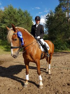 Ruska Laukan tallilla valmennus-, yksityis-, pari-, pienryhmä ja mini tunnit Ruka Kuusamossa