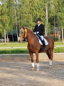 Ruska Laukan tallilla valmennus-, yksityis-, pari-, pienryhmä ja mini tunnit Ruka Kuusamossa