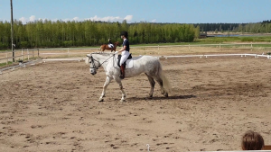 Ruska Laukan tallilla valmennus-, yksityis-, pari-, pienryhmä ja mini tunnit Ruka Kuusamossa