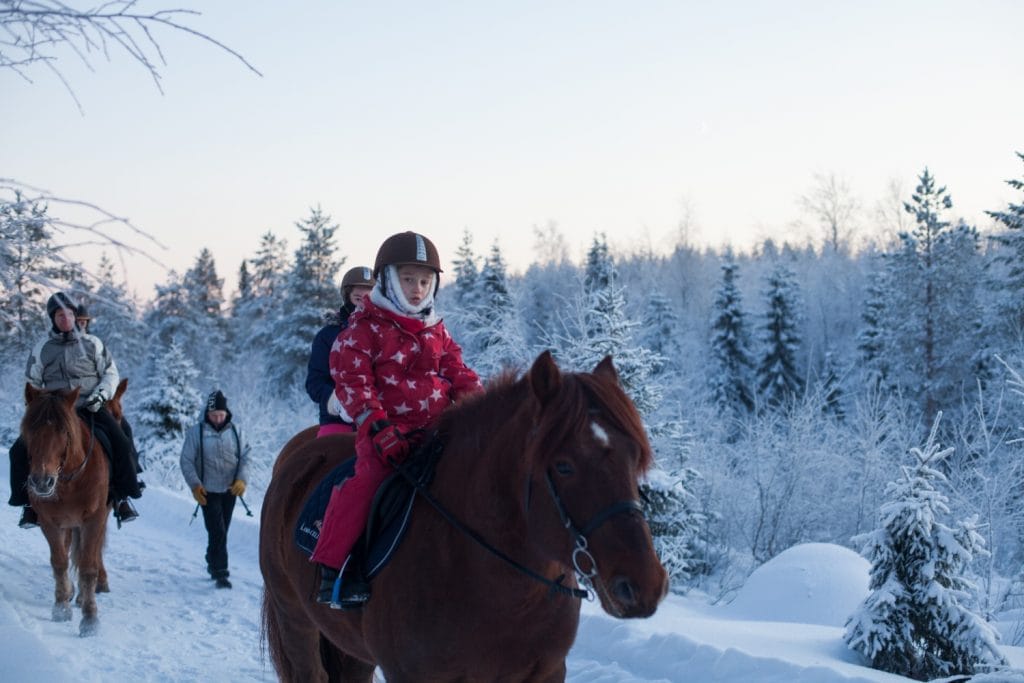 Maastoratsastusta suomenhevosilla Ruska Laukan tallilla Ruka-Kuusamossa