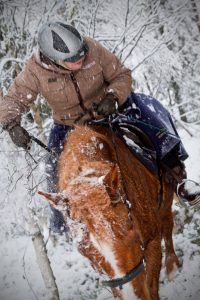 Maastoratsastusta suomenhevosilla Ruska Laukan tallilla Ruka-Kuusamossa