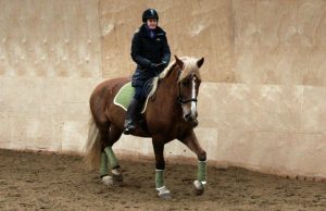 Ruska Laukan tallilla valmennus-, yksityis-, pari-, pienryhmä ja mini tunnit Ruka Kuusamossa