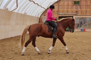 Ruska Laukan tallilla valmennus-, yksityis-, pari-, pienryhmä ja mini tunnit Ruka Kuusamossa