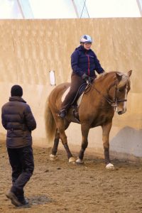 Ruska Laukan tallilla valmennus-, yksityis-, pari-, pienryhmä ja mini tunnit Ruka Kuusamossa