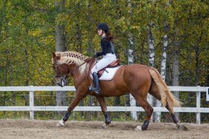 Ruska Laukan tallilla valmennus-, yksityis-, pari-, pienryhmä ja mini tunnit Ruka Kuusamossa