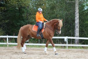 Ruska Laukan tallilla valmennus-, yksityis-, pari-, pienryhmä ja mini tunnit Ruka Kuusamossa