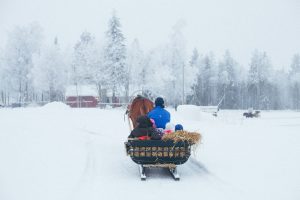 Ruska Laukan tallilla rekiajelua suomenhevosilla Ruka-Kuusamossa