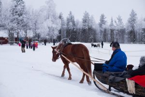 Ruska Laukan tallilla ratsastus- ja teemapäiviä harrastaja perheiden kanssa Ruka Kuusamossa