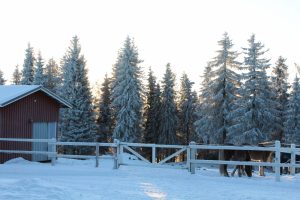Ruska Laukka tallin pihapiiristä kesä- ja talvikuvia Ruka-Kuusamossa