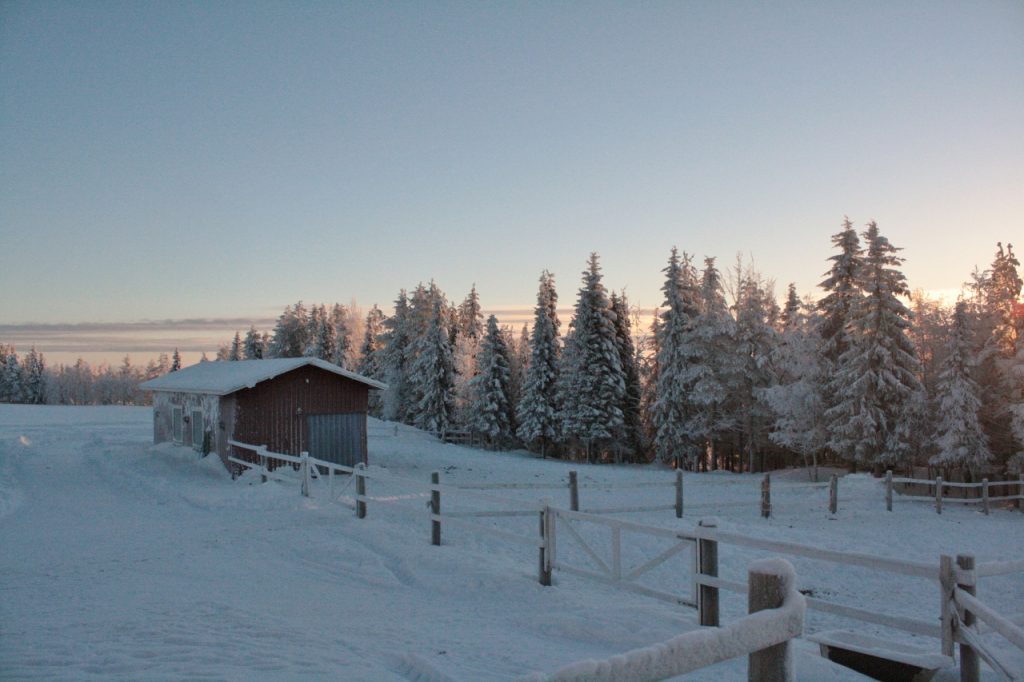 Ruska Laukka tallin pihapiiristä kesä- ja talvikuvia Ruka-Kuusamossa
