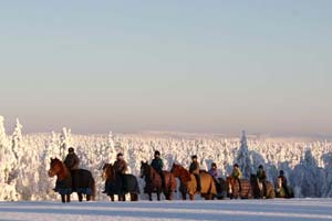 Maastoratsastusta Ruska Laukan tallilla Ruka-Kuusamossa