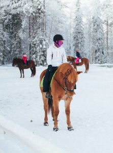 Maastoratsastusta Ruska Laukan tallilla Ruka-Kuusamossa
