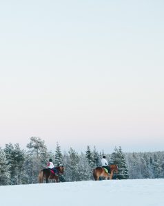 Maastoratsastusta Ruska Laukan tallilla Ruka-Kuusamossa