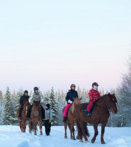 Maastoratsastusta Ruska Laukan tallilla Ruka-Kuusamossa