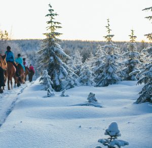 Maastoratsastusta Ruska Laukan tallilla Ruka-Kuusamossa
