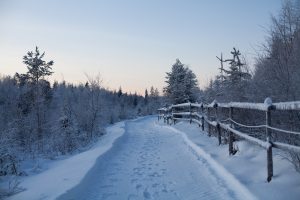 Maastoratsastusta Ruska Laukan tallilla Ruka-Kuusamossa