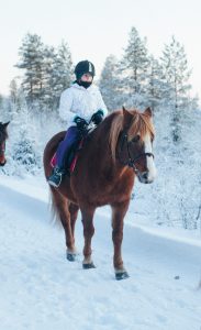 Sosiaalipedagoginen hevostoiminta Ruska Laukan tallilla Ruka-Kuusamossa