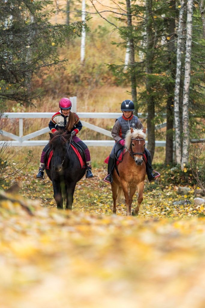 Iloinen perhemaastoretki ohjelma (1h)