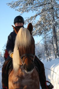 Maastoratsastusta suomenhevosilla Ruska Laukan tallilla Ruka-Kuusamossa